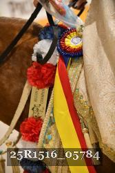 25R1516_05784 thumbnail