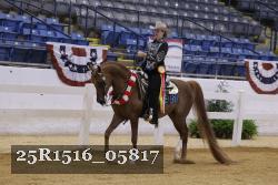 25R1516_05817 thumbnail