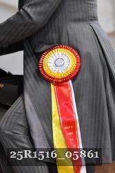 25R1516_05861 thumbnail