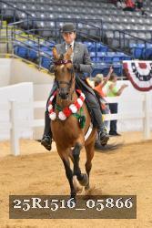 25R1516_05866 thumbnail
