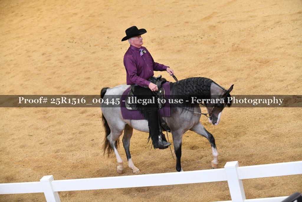 Proof Number 25R1516_00445