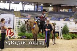 25R1516_00473 thumbnail