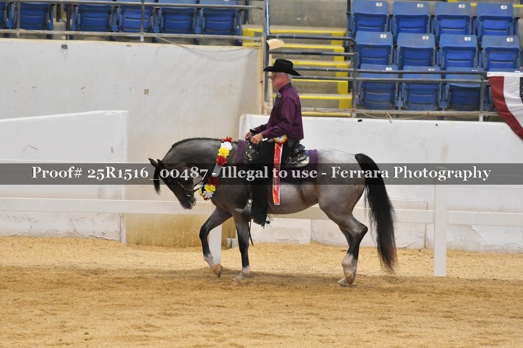 Proof Number 25R1516_00487