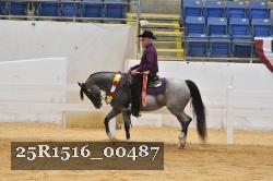 25R1516_00487 thumbnail