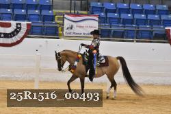 25R1516_00493 thumbnail