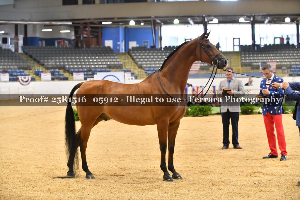 Proof Number 25R1516_05912