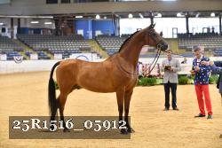25R1516_05912 thumbnail