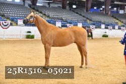 25R1516_05921 thumbnail