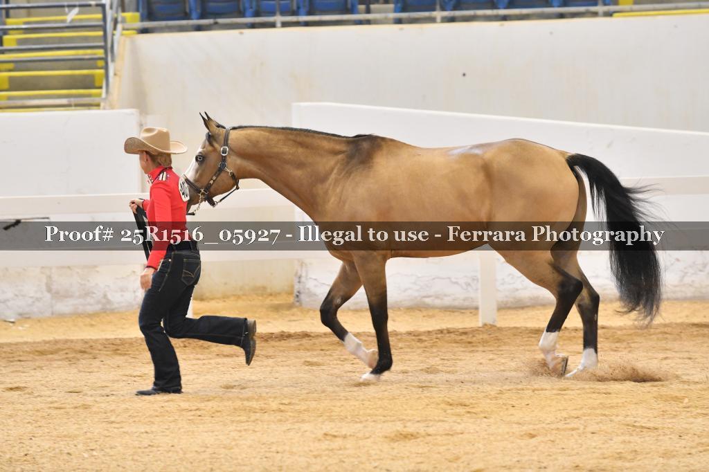 Proof Number 25R1516_05927