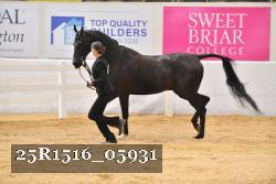 25R1516_05931 thumbnail