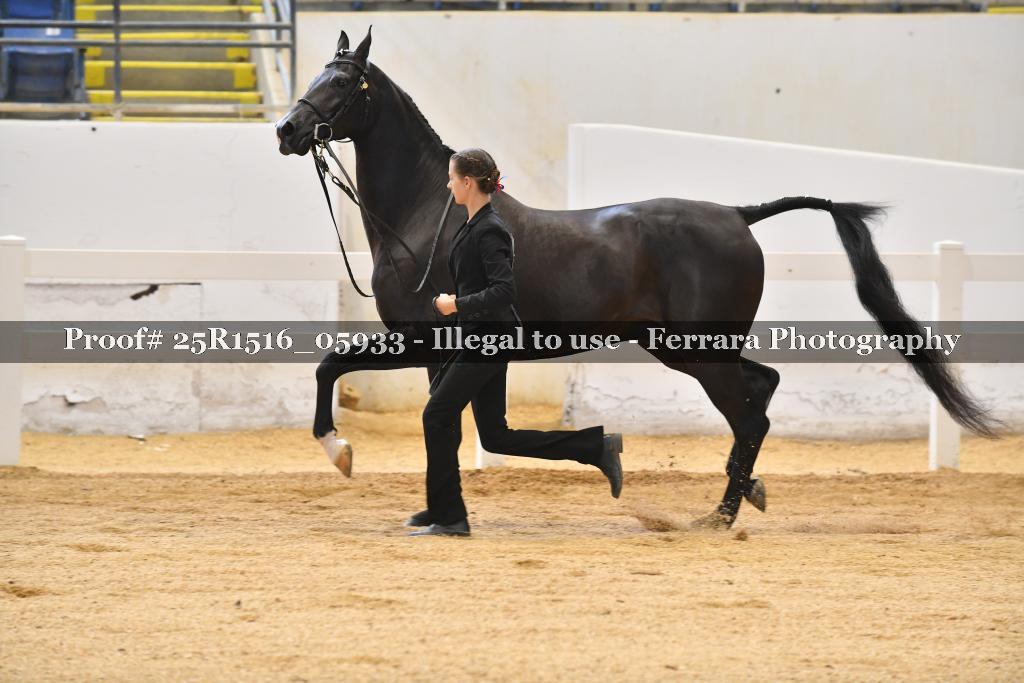 Proof Number 25R1516_05933