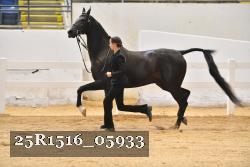 25R1516_05933 thumbnail