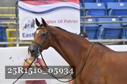 25R1516_05934 thumbnail