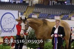 25R1516_05936 thumbnail
