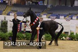 25R1516_05937 thumbnail
