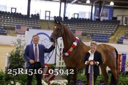 25R1516_05942 thumbnail