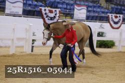 25R1516_05944 thumbnail