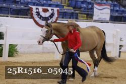 25R1516_05945 thumbnail