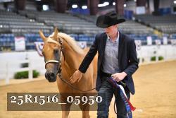 25R1516_05950 thumbnail