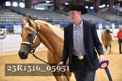 25R1516_05951 thumbnail