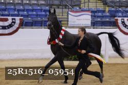25R1516_05954 thumbnail