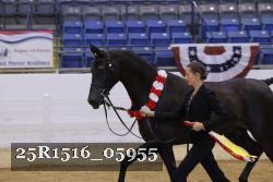 25R1516_05955 thumbnail