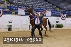 25R1516_05960 thumbnail