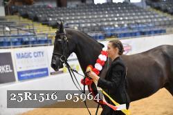 25R1516_05964 thumbnail