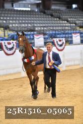 25R1516_05965 thumbnail