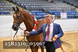25R1516_05967 thumbnail