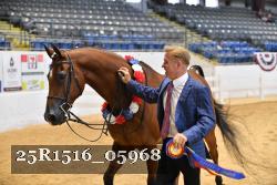 25R1516_05968 thumbnail