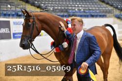 25R1516_05969 thumbnail