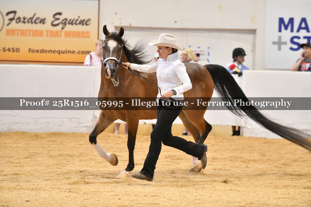 Proof Number 25R1516_05995