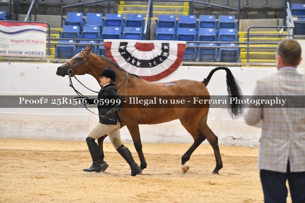 Proof Number 25R1516_05999