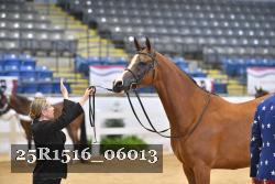 25R1516_06013 thumbnail