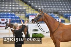 25R1516_06014 thumbnail