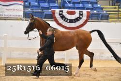 25R1516_06015 thumbnail
