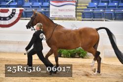25R1516_06017 thumbnail