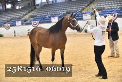 25R1516_06019 thumbnail
