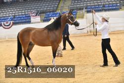 25R1516_06020 thumbnail