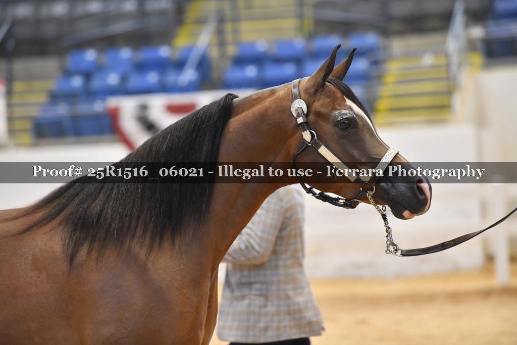 Proof Number 25R1516_06021
