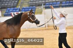 25R1516_06022 thumbnail