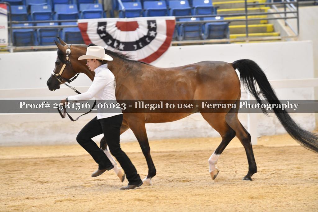 Proof Number 25R1516_06023