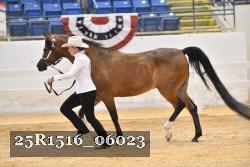 25R1516_06023 thumbnail