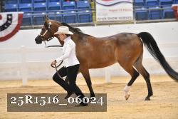 25R1516_06024 thumbnail