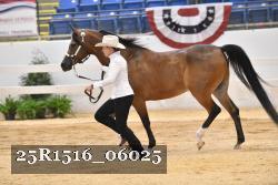 25R1516_06025 thumbnail