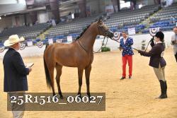 25R1516_06027 thumbnail