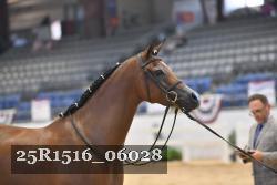 25R1516_06028 thumbnail