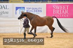 25R1516_06030 thumbnail