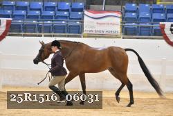 25R1516_06031 thumbnail